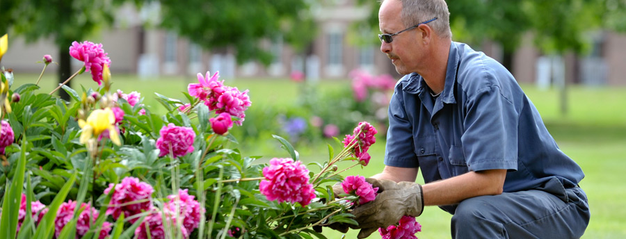 Member of the Maintenance Staff tending to a garden at Acacia Village